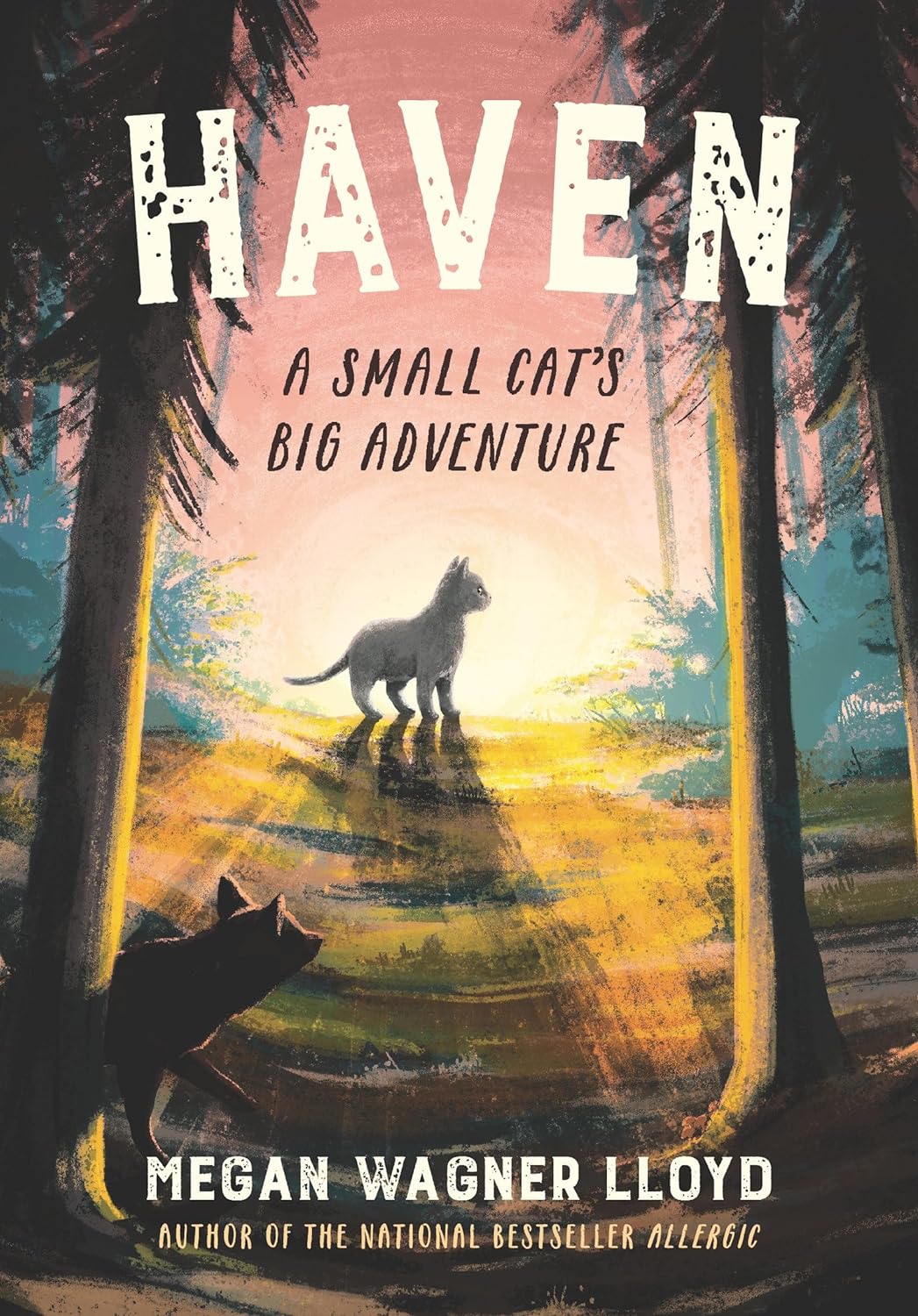 haven book cover
