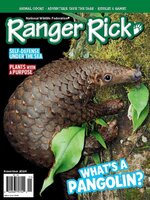 A pangolin, which is a pinecone-like creature with a long nose and long, clawed fingers, chills on a tree next to some large green leaves. 