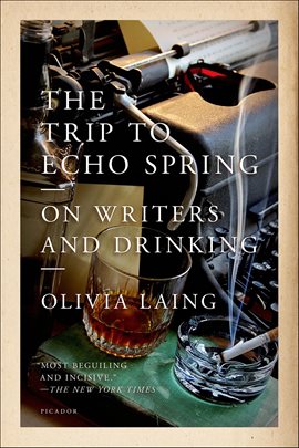 The Trip to Echo Springs book cover